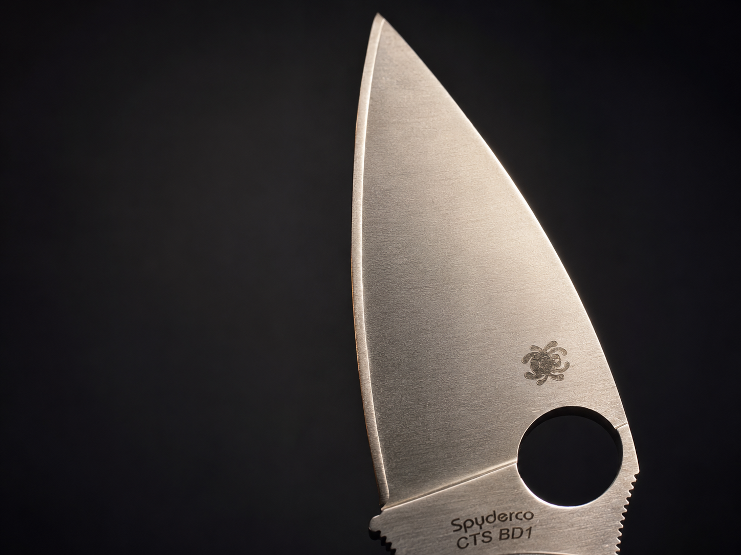 Macro close-up of sharpened knife blade edge detail